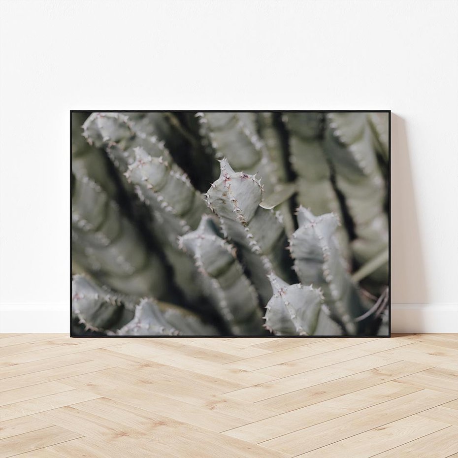 Obraz w ramie 100x70 - Boho kaktusy na pustyni - kaktusy, pustynia - rama czarna