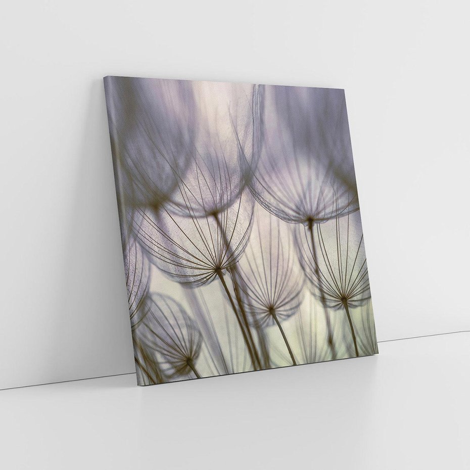 Obraz na płótnie 50x50 - Makro dmuchawiec - piękno drobnych detali - dmuchawce, makro