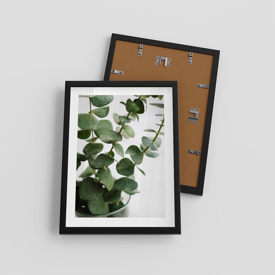 Plakat w ramie 30x40 - Zielone eukaliptusy - eukaliptus, liście - rama czarna