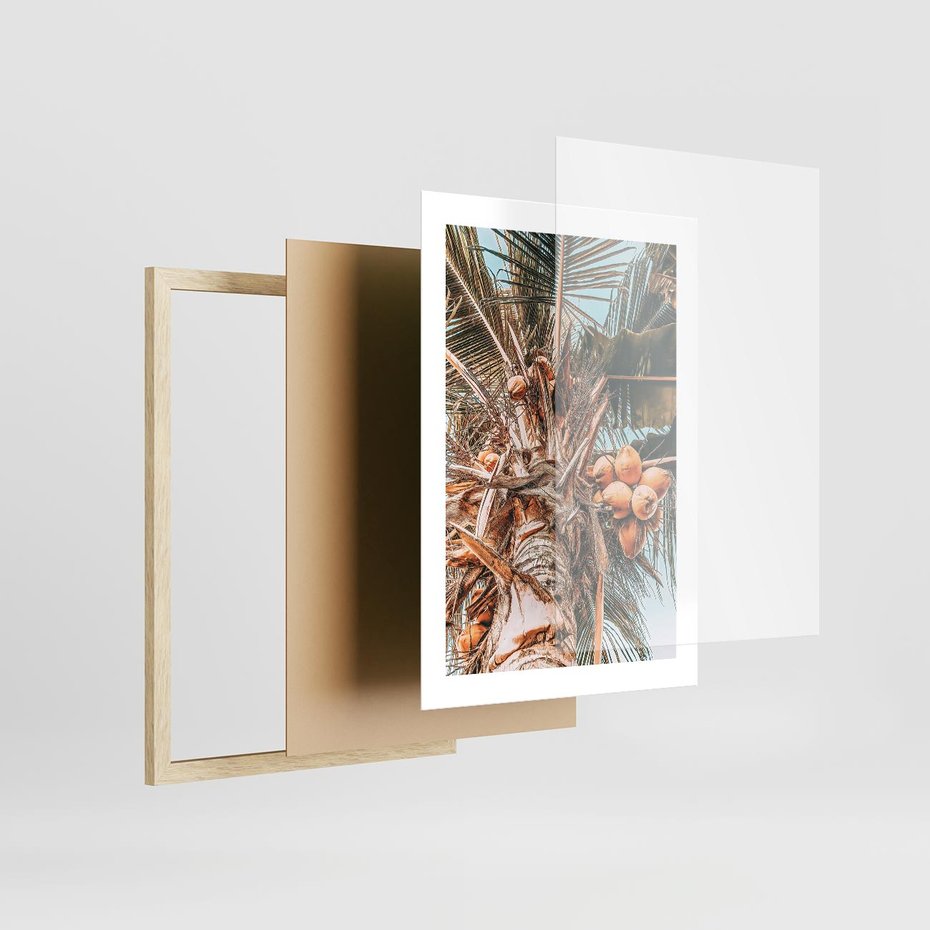Plakat w ramie 30x40 - Tropikalna Palma: Fotografia z Kokosami - palma kokosowa, kokosy - rama drewno