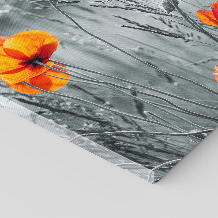 Obraz na płótnie 120x80 - Malownicza łąka - maki, mak