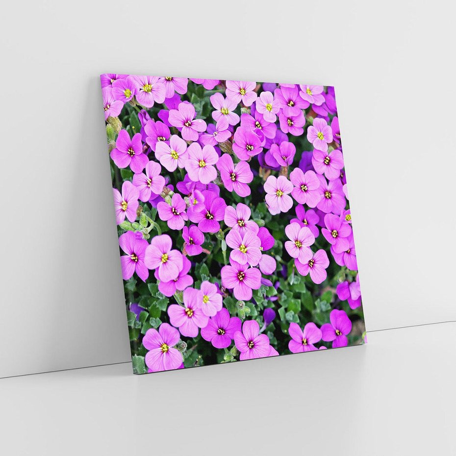 Obraz na płótnie 30x30 - Kwiatowa poezja w pastelowych odcieniach - kwiat, kwiaty