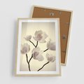 Plakat w ramie 50x70 - Elegancja Natury - magnolia, białe - rama drewno