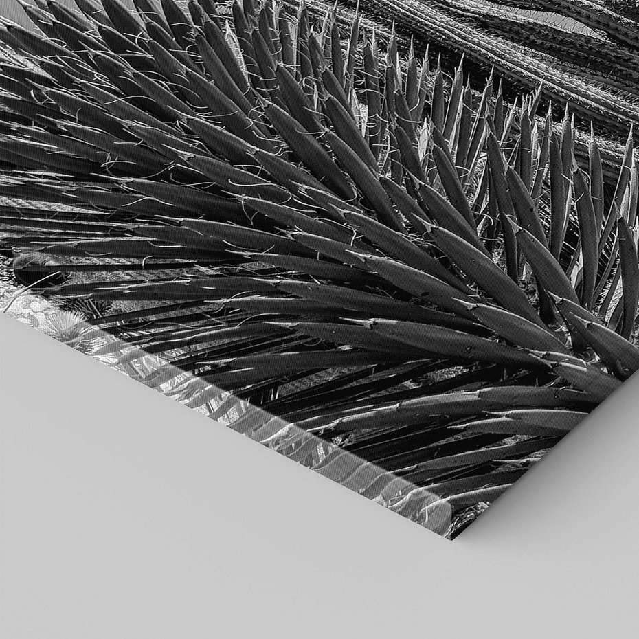 Obraz na płótnie 120x80 - Pustynny Klimat - czarno białe zdjecie, pustynia