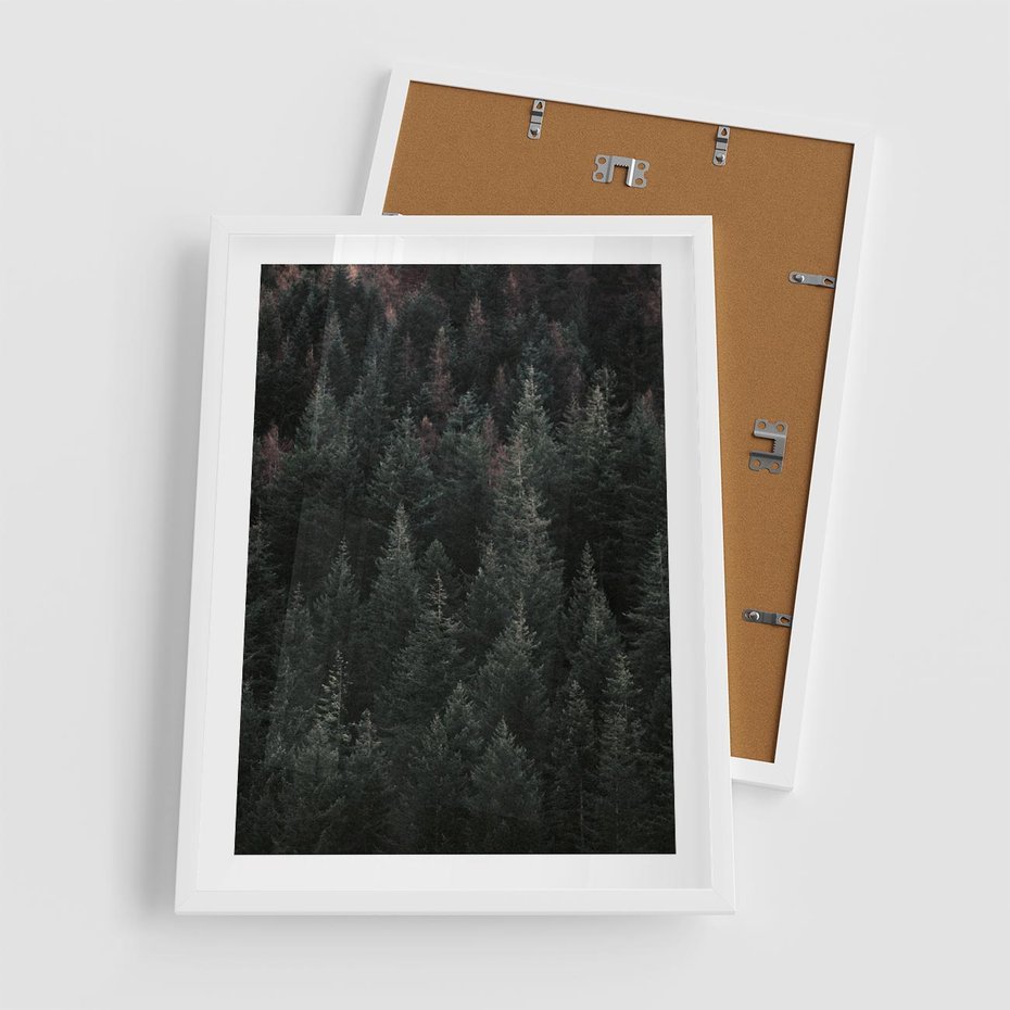 Plakat w ramie 50x70 - Wysoko nad Iglastym Lasem - las, perspektywa - rama biała