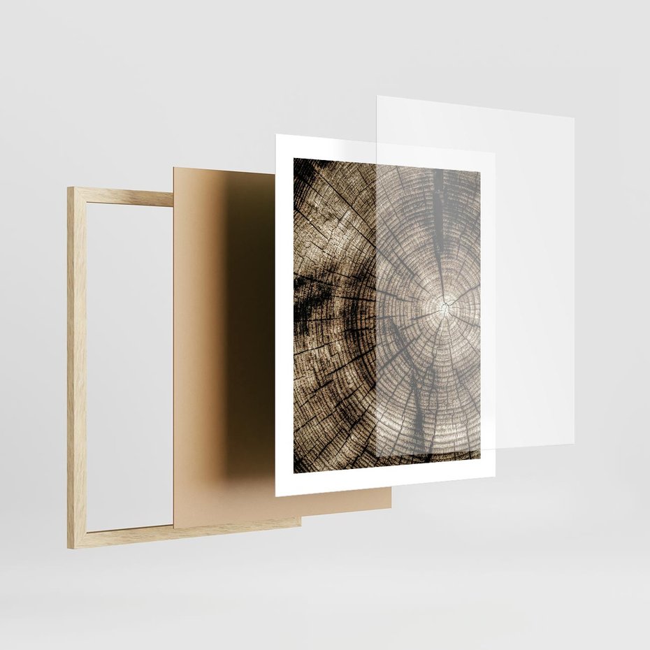 Plakat w ramie 40x50 - Natura Pod Lupą - pień drzewa, przekrój - rama drewno