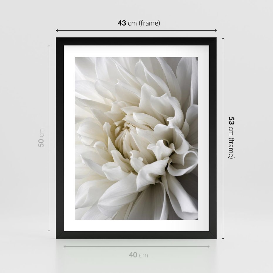 Plakat w ramie 40x50 - Białe Kwiaty Delikatności - białe, kwiaty - rama czarna
