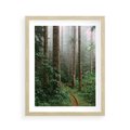 Plakat w ramie 40x50 - Mgliste Marzenia - artystyczna fotografia, las - rama drewno
