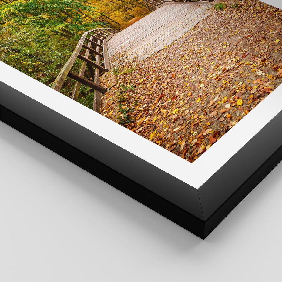 Plakat w ramie 50x70 - Spacer Ścieżką w Las - ścieżka, spacer - rama czarna