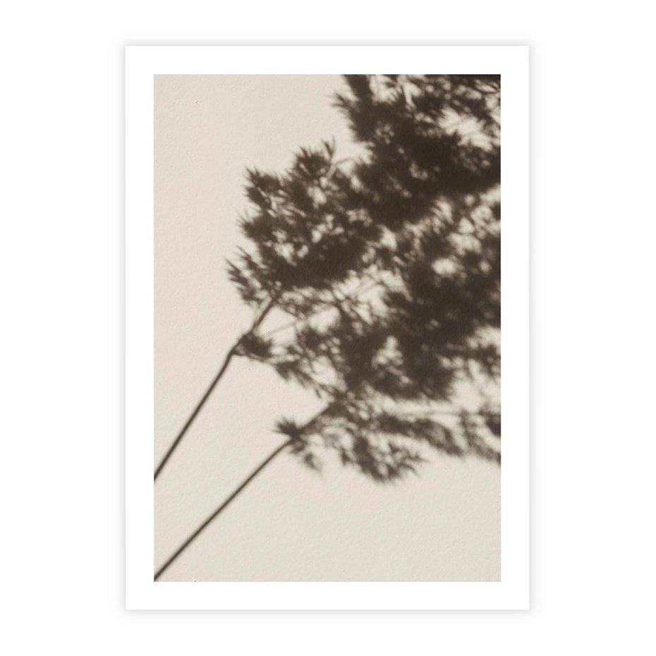 Plakat bez ramy 40x50 - Tajemniczy Cień Traw - cień traw, na ścianie