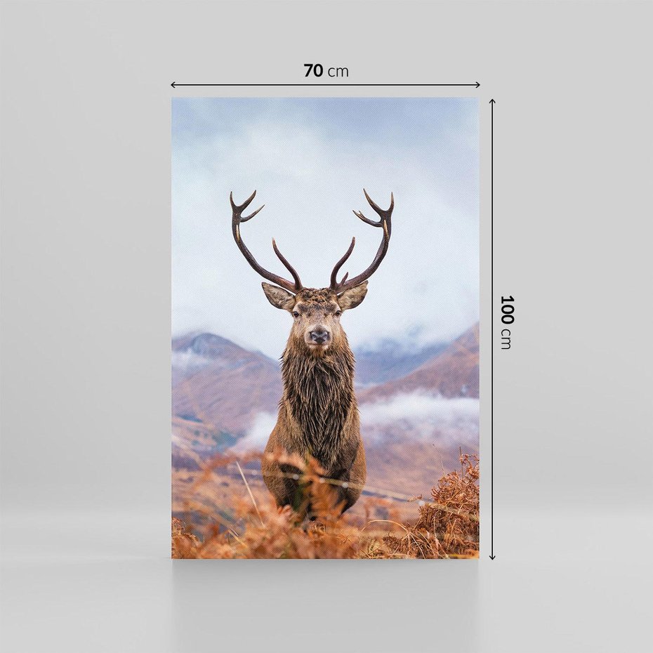 Obraz na płótnie 70x100 - Jeleń w Uśpionym Krajobrazie - jeleń na tle gór, ośnieżone góry