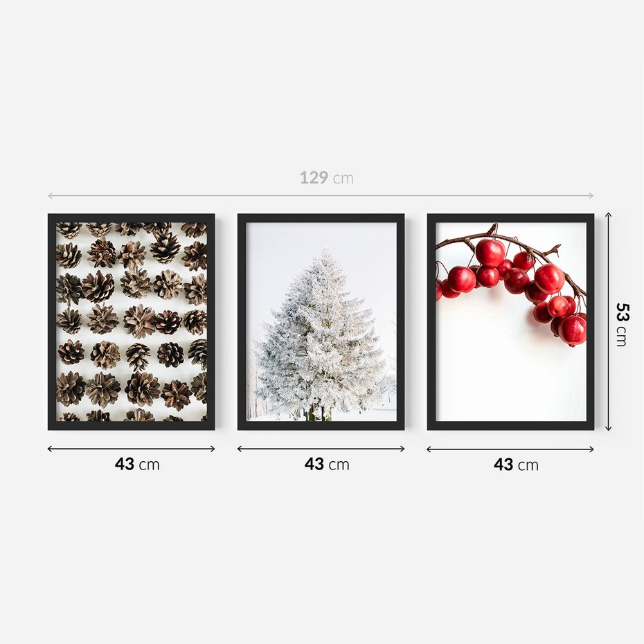 Zestaw obrazy w ramie 40x50 galeria - Zima, szyszki, śnieg - rama czarna