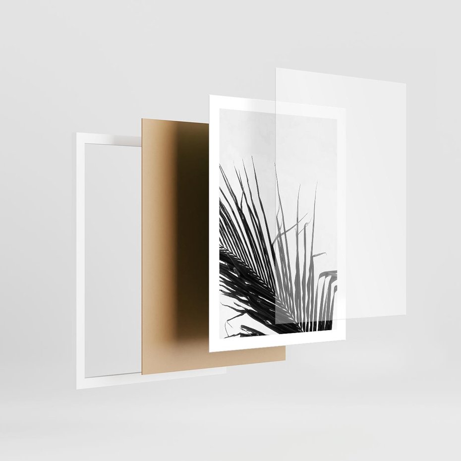 Plakat w ramie 50x70 - Sztuka Natury: Monochromatyczna Palma - palma, czarno białe zdjęcie - rama biała
