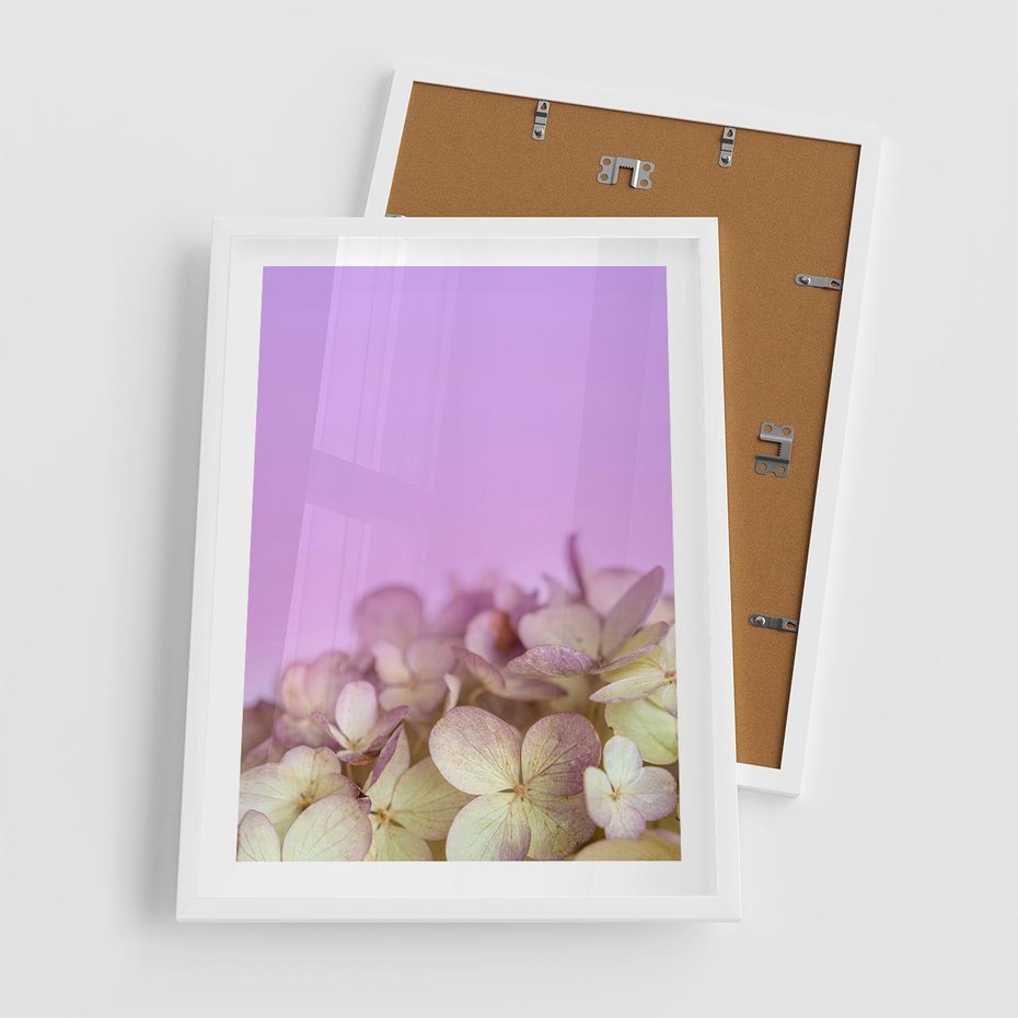 Plakat w ramie 50x70 - Kwiatowa Uroda - kwiaty, hortensje - rama biała