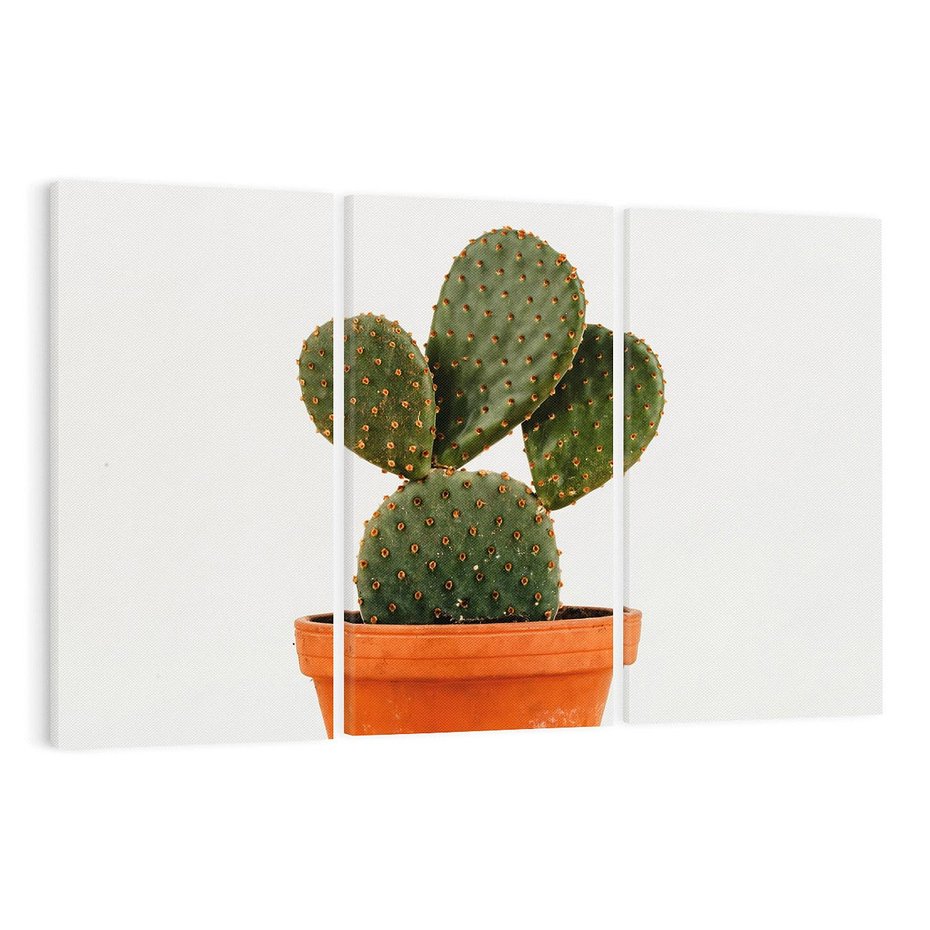 Obraz na płótnie 120x80 - Kwiatowy taniec kaktusa - kaktus, kwiat