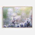 Obraz w ramie 100x70 - Delikatna Uroda Natury - wrzosy, fiolet - rama drewno