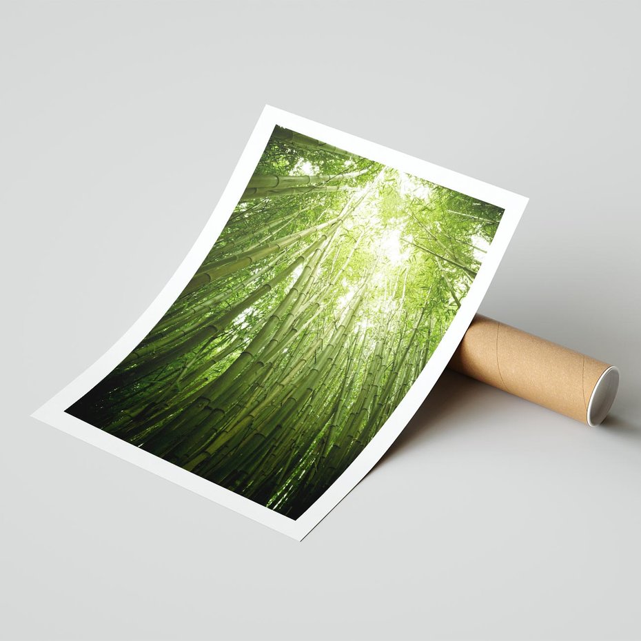 Plakat bez ramy 21x30 - Siła Natury - drzewa, las