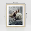 Plakat w ramie 40x50 - Makro Dmuchawiec - dmuchawiec, zbliżenie - rama drewno