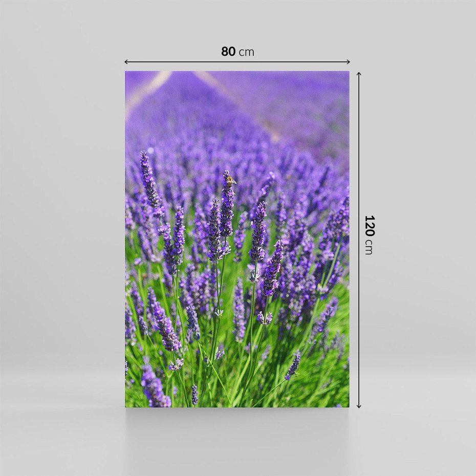 Obraz na płótnie 80x120 - Lawendowe pola piękno natury - lawenda, kwiaty
