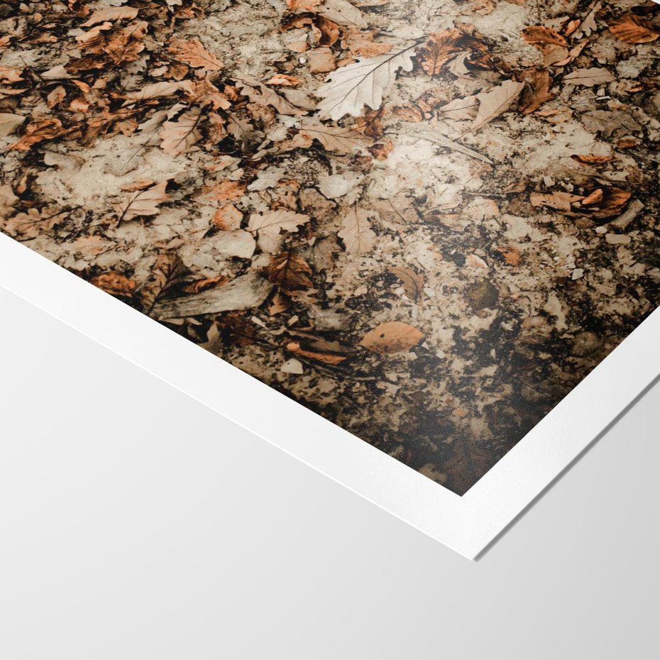 Plakat bez ramy 21x30 - Suchość Liści w Brązowych Tonach - suche liście jesień brąz