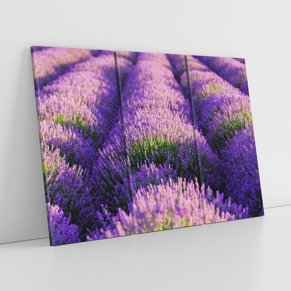Obraz na płótnie 120x80 - Malownicze Pole Lawendy - lawenda, pole