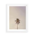 Plakat w ramie 50x70 - Samotna Palma pod Niebem - samotna palma, na tle nieba - rama biała