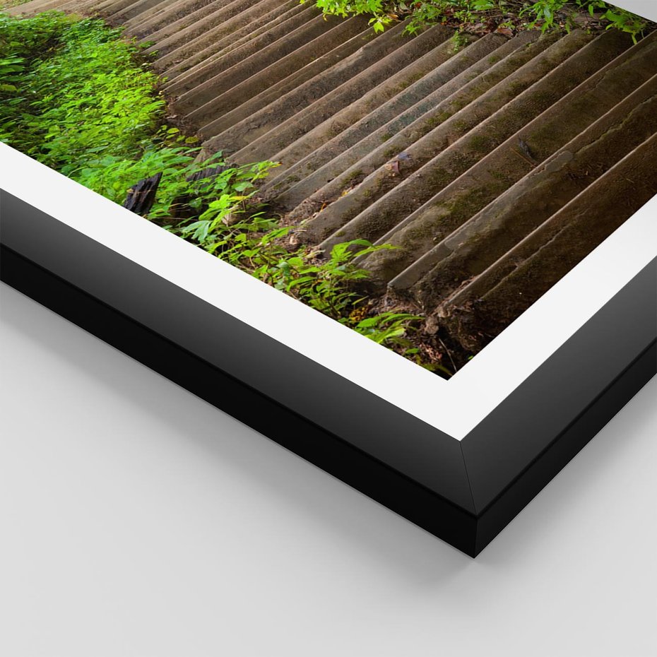 Plakat w ramie 50x70 - Magia Leśnej Ścieżki - ścieżka, w lesie - rama czarna