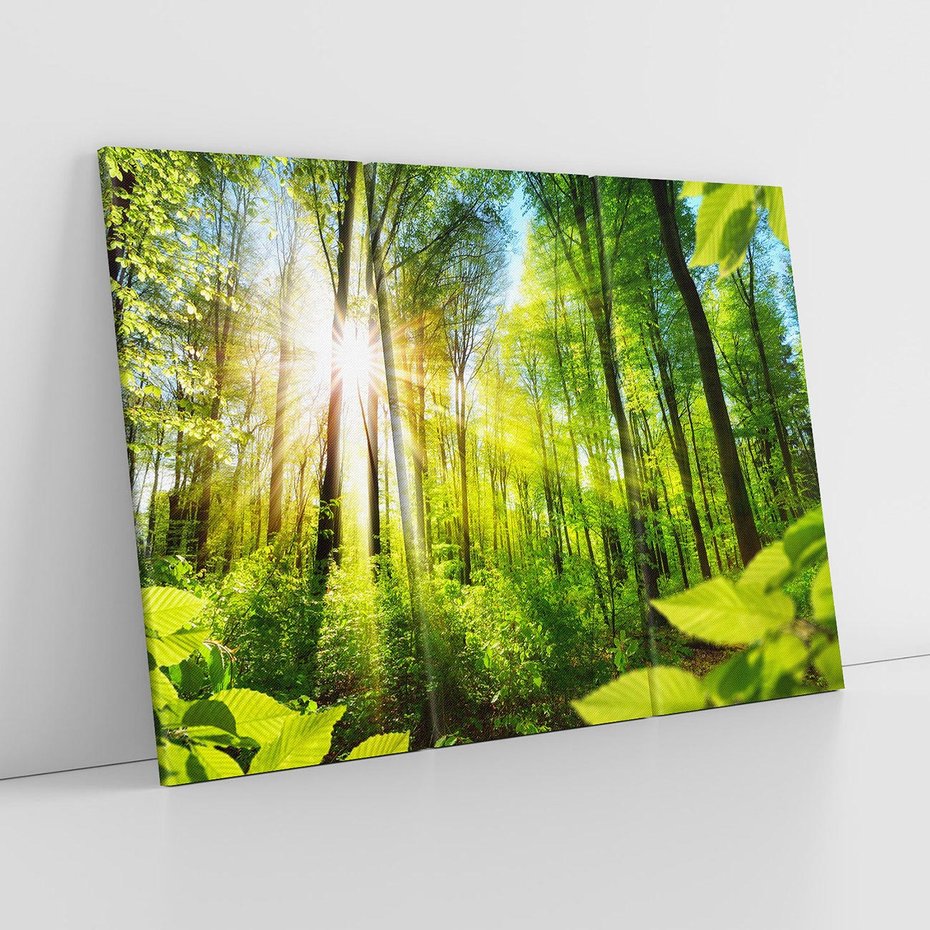 Obraz na płótnie 120x80 - Magia Leśnej Przyrody - las, drzewa