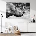 Obraz na płótnie 120x80 - Potęga Afryki - czarno biała fotografia, zbliżenie na postać nosorożca