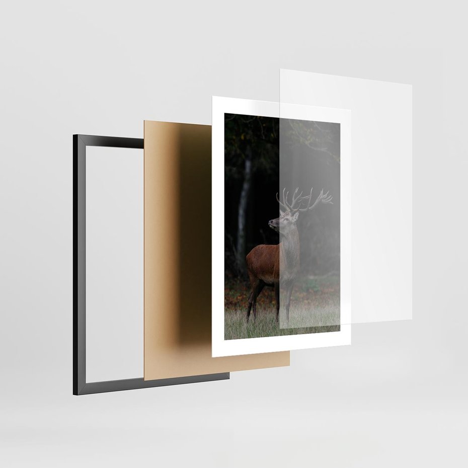 Plakat w ramie 30x40 - Spotkanie z naturą - jeleń, las - rama czarna