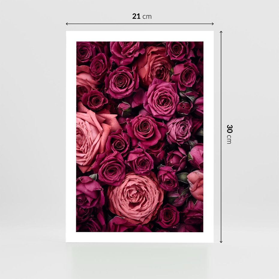Plakat bez ramy 21x30 - Róże - piękno kwiatów - róże, kwiaty