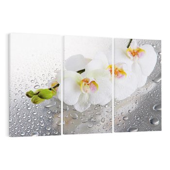 Obraz na płótnie 120x80 - Kwiatowy rój - kwiaty, kwiat