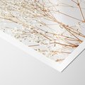 Plakat bez ramy 30x40 - Minimalistyczna Delikatność - białe kwiaty, gipsówka
