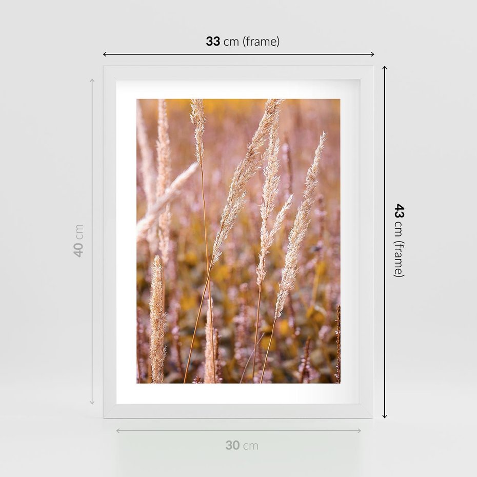 Plakat w ramie 30x40 - Sucha Trawa w Sierpniu - trawy, łąka - rama biała