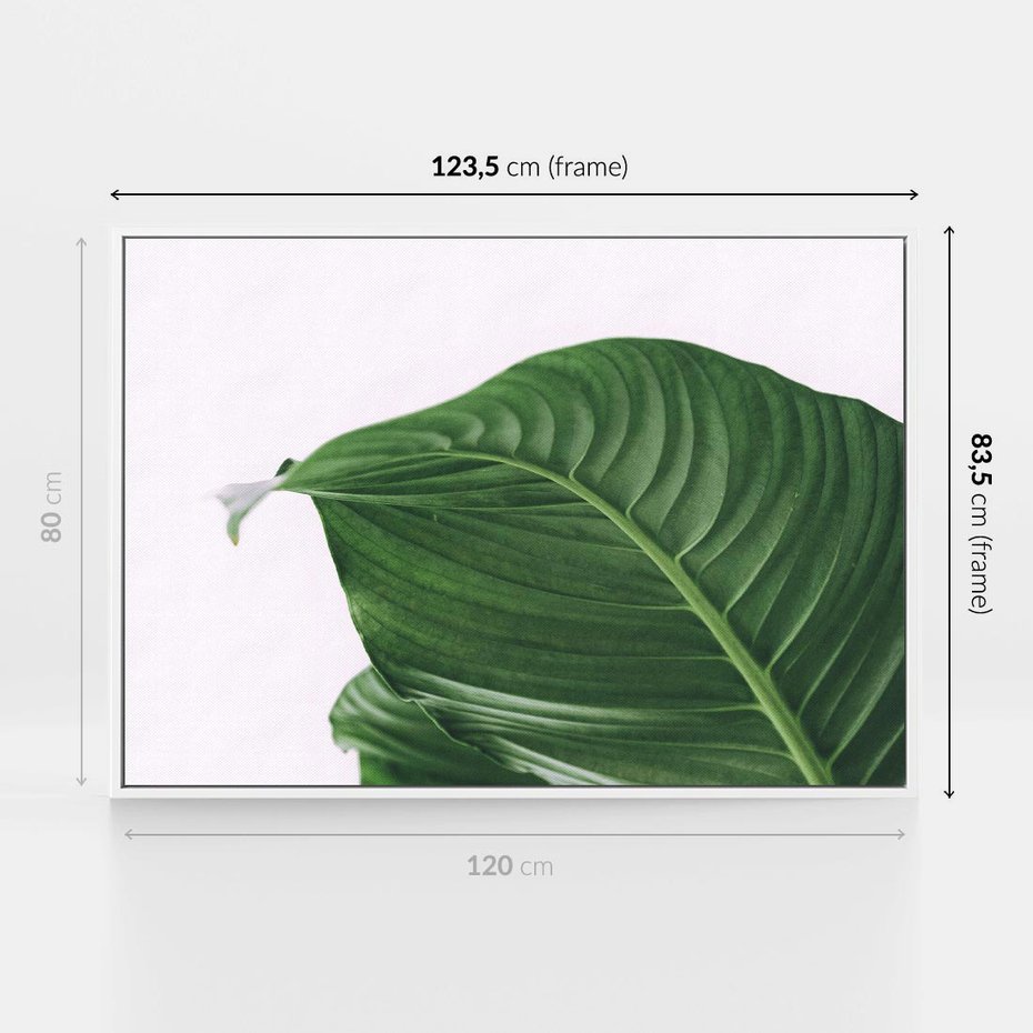 Obraz w ramie 120x80 - Zielone liście monstery - liście, monstera - rama biała