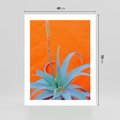 Plakat bez ramy 40x50 - Naturalna Harmonia - kaktusy, liście