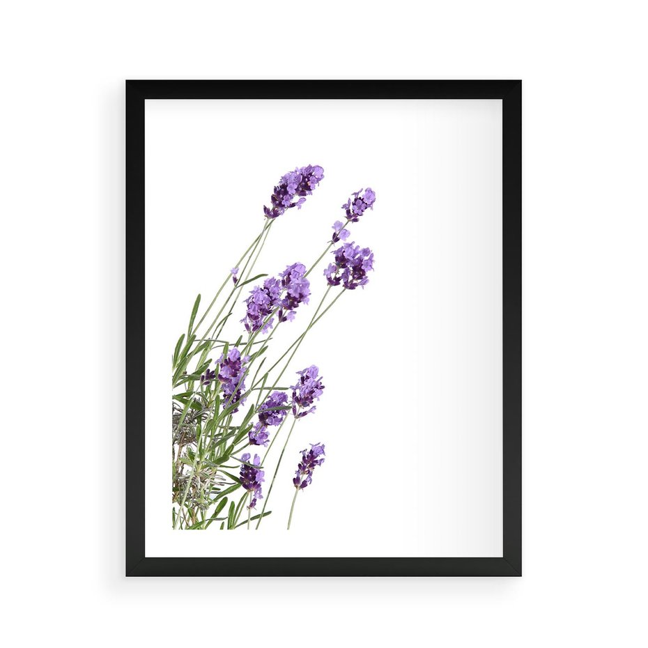Plakat w ramie 40x50 - Delikatny Urok - lawenda, kwiaty - rama czarna