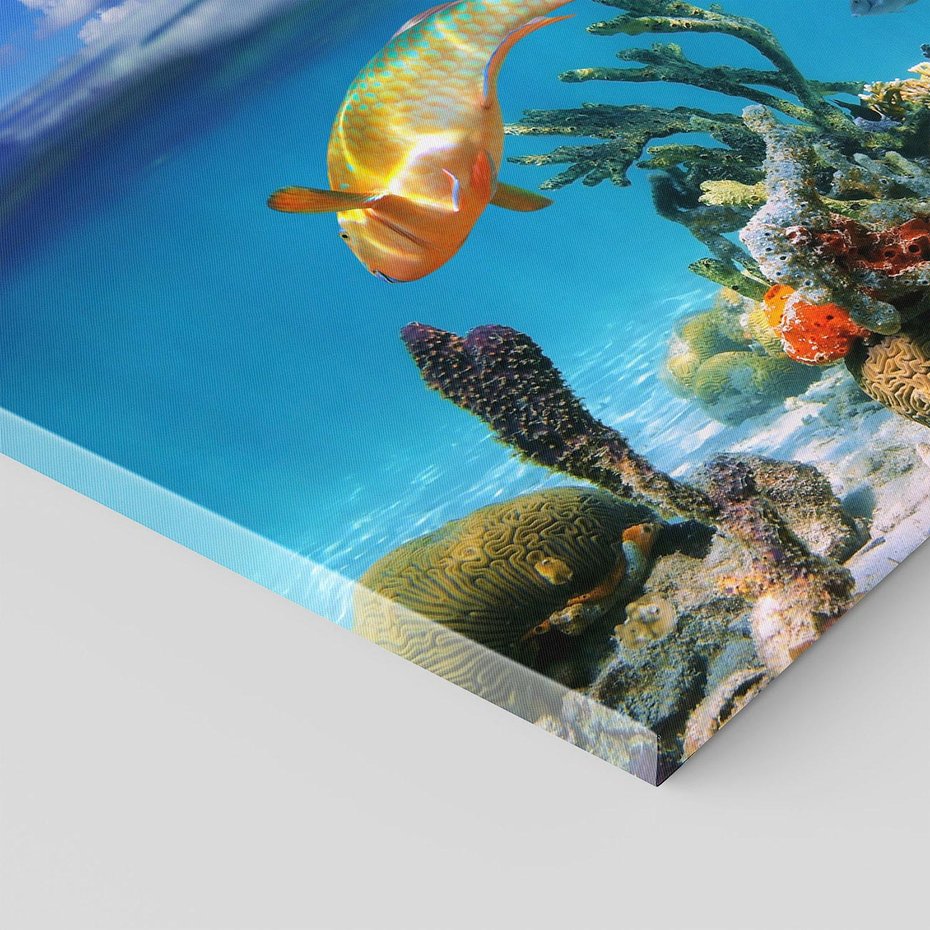 Obraz na płótnie 40x40 - Podwodna rafa koralowa: kolorowy oceanowy świat - rafa, koralowa