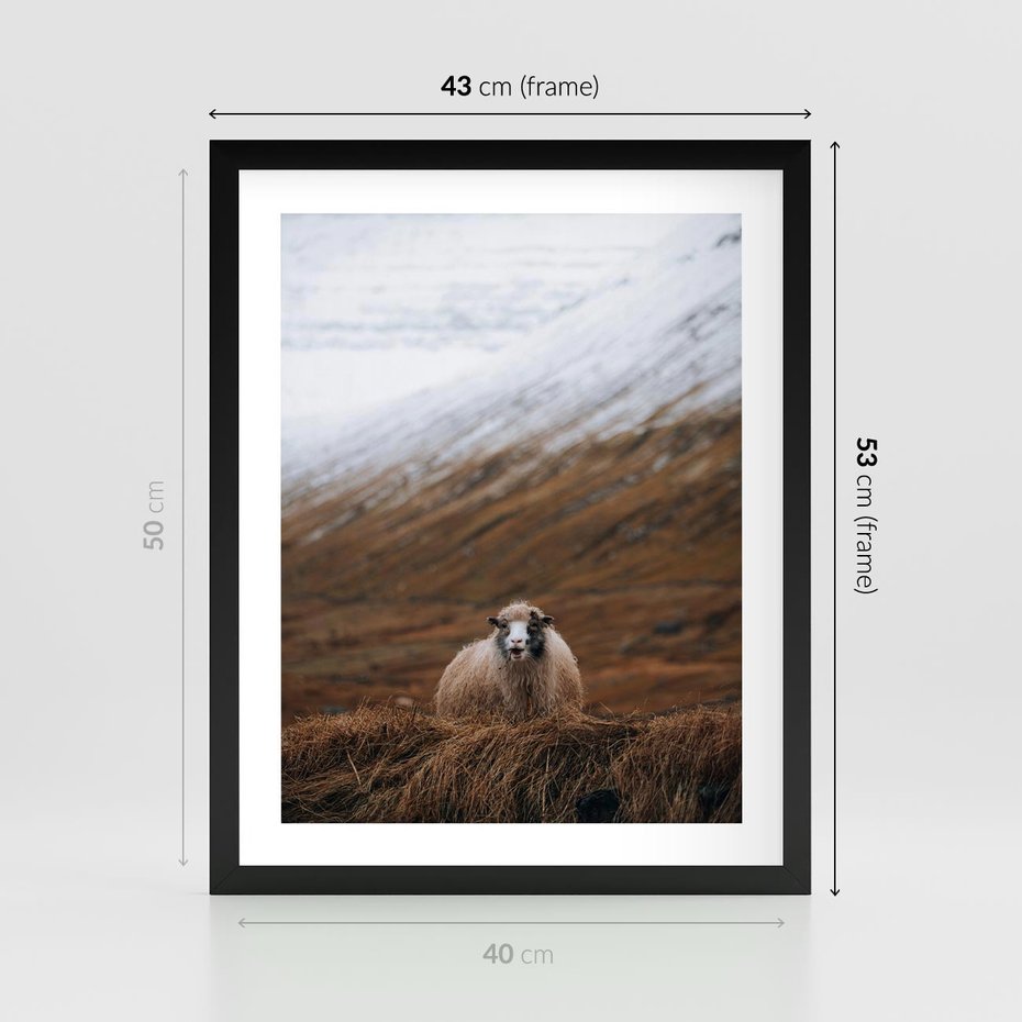 Plakat w ramie 40x50 - Owiecka panorama - góry, owca - rama czarna