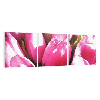 Obraz na płótnie 150x50 - Tulipany w pejzażu - tulipany, kwiaty