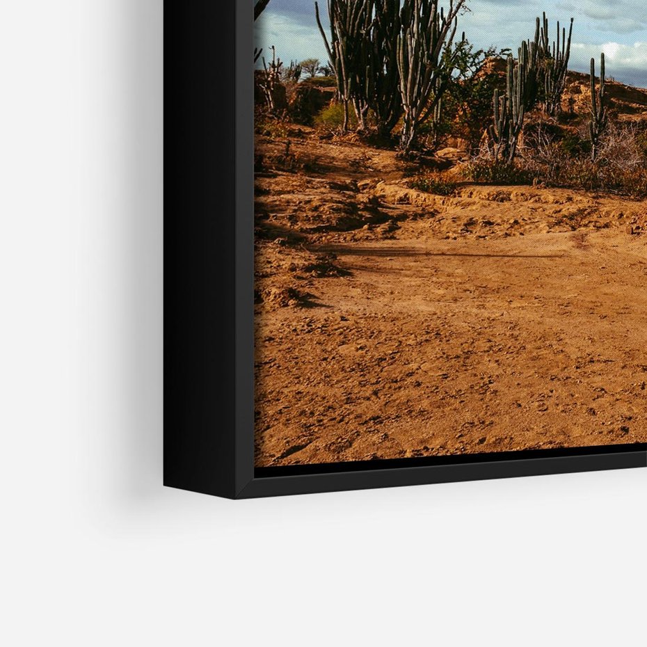 Obraz w ramie 50x50 - Skarby Pustynnego Kanionu - pustynia, kaktusy - rama czarna