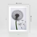Plakat w ramie 30x40 - Lekkość Przemijania - dmuchawiec, makro - rama biała