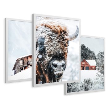 Zestaw obrazy w ramie 30x40 galeria - Zima, bizon, góry, śnieg - rama biała