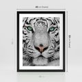 Plakat w ramie 40x50 - Magia Białego Tygrysa - biały, tygrys - rama czarna