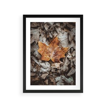 Plakat w ramie 30x40 - Jesienne Czarowanie - suchy liść, żółty - rama czarna