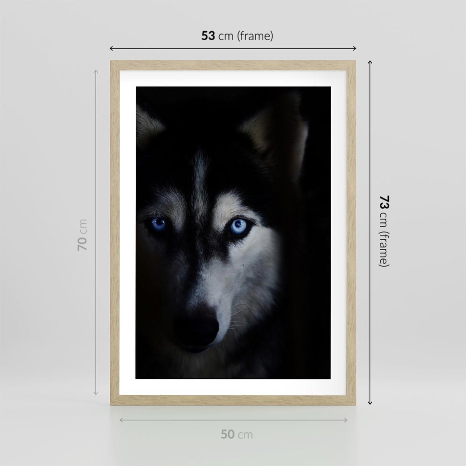 Plakat w ramie 50x70 - Wilk i husky: siła przyjaźni - wilk, husky - rama drewno