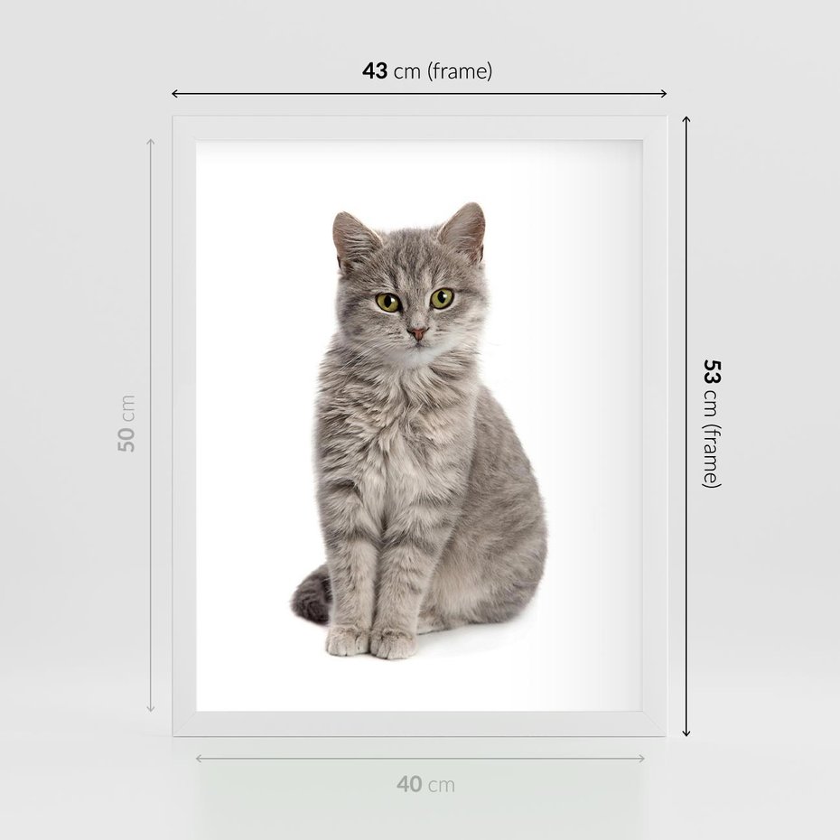 Plakat w ramie 40x50 - Kocie uroki na płótnie - kot, kotek - rama biała