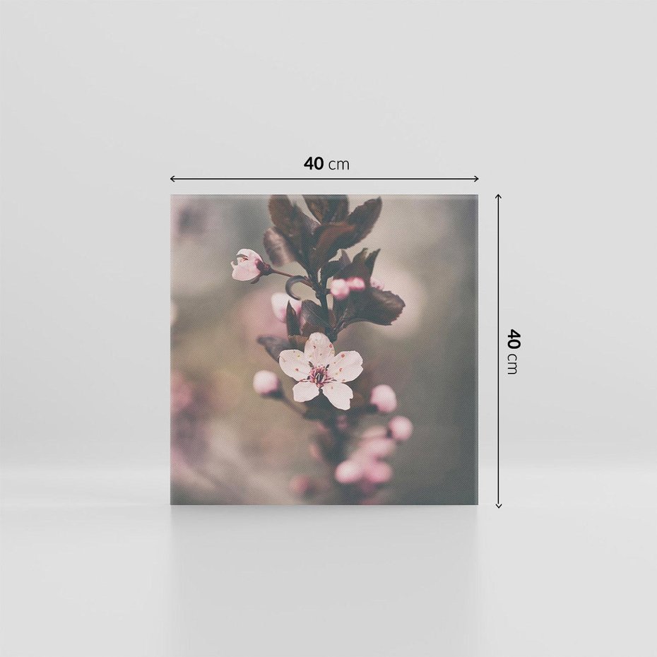 Obraz na płótnie 40x40 - Przemijający Urok - kwitnąca, wiśnia