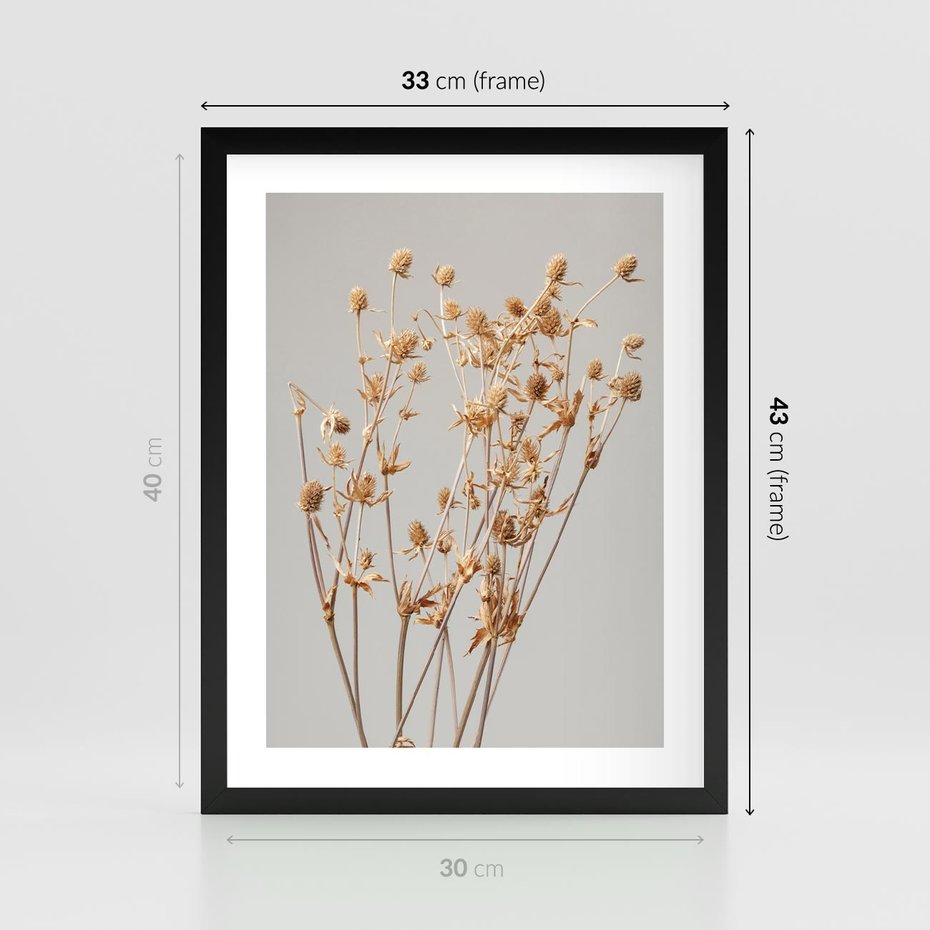 Plakat w ramie 30x40 - Delikatne gipsówki - gipsówka, suche - rama czarna