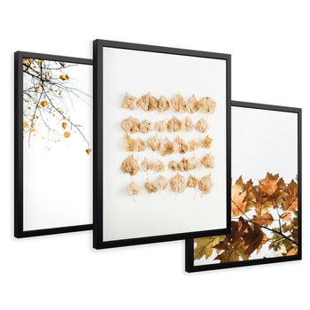 Zestaw obrazy w ramie 50x70 galeria - Liście, jesień, kompozycja - rama czarna
